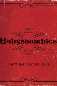 Oh! What a Lovely Tour - Babyshambles Live series tv
