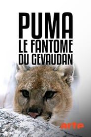 Puma, le fantôme du Gévaudan-hd