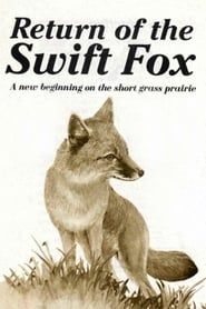 Affiche de Return of the Swift Fox