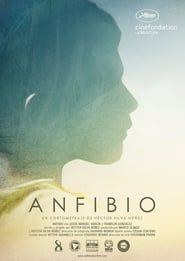Anfibio 2015 streaming