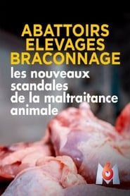 Image Abattoirs, élevages, braconnage, les nouveaux scandales de la maltraitance animale 2019