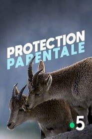 Protection parentale series tv