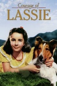 watch Le Courage de Lassie