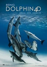 Being Dolphin 4D series tv