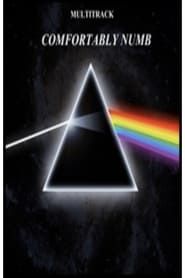 Affiche de Pink Floyd - Comfortably Numb