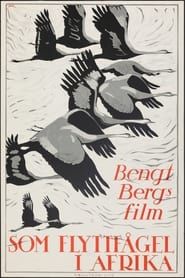 Som flyttfågel i Afrika (1922)