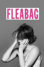 National Theatre Live: Fleabag series tv