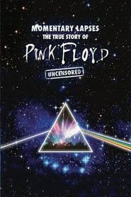 Pink Floyd: Momentary Lapses - The True Story of Pink Floyd series tv