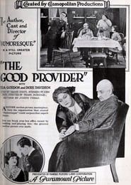 The Good Provider series tv