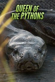 Queen of the Pythons series tv