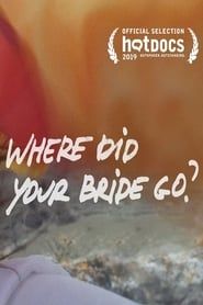 Where Did Your Bride Go? series tv