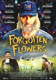 watch Les fleurs oubliées