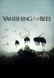 Affiche de Vanishing of the Bees
