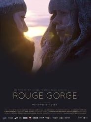 Image Rouge Gorge