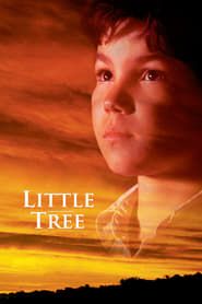 The Education of Little Tree series tv
