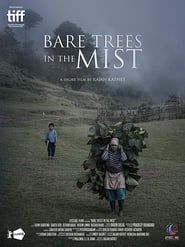 watch Bare Trees in the Mist