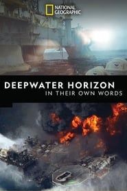 Deepwater Horizon: In Their Own Words series tv