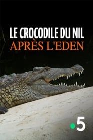 Le crocodile du Nil après l'eden series tv