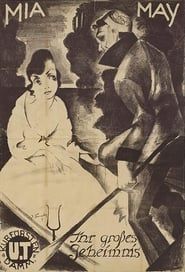 Ihr großes Geheimnis (1918)