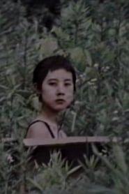 机の女 (1993)