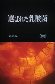 Selected Lactobacillus Strain Shirota (1965)