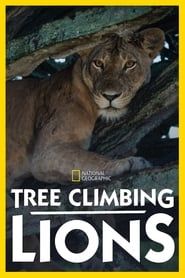 Tree Climbing Lions series tv