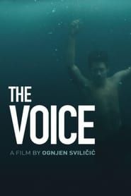 The Voice series tv