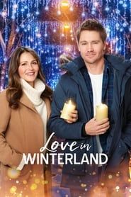 Love in Winterland series tv