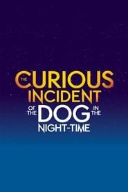 The Curious Incident of the Dog in the Night-Time series tv