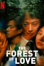 Affiche de The Forest of Love