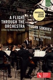 A Flight Through the Orchestra series tv
