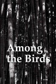 Among the Birds series tv