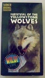 Survival of the Yellowstone Wolves series tv