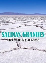 Salinas grandes series tv