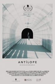 Antílope (2019)