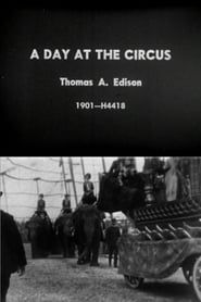 Image Day at the Circus 1901
