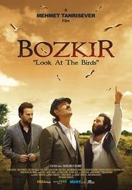 Bozkir Look at the Birds (2019)
