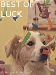 Best of Luck series tv