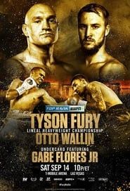 Tyson Fury vs. Otto Wallin 2019 streaming