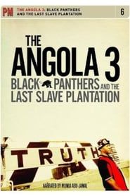 The Angola 3: Black Panthers and the Last Slave Plantation (2008)