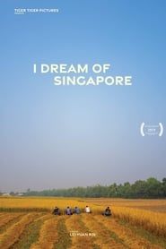 I Dream of Singapore series tv