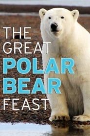 The Great Polar Bear Feast 2015 streaming