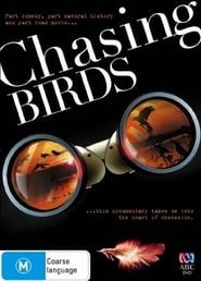 Image Chasing Birds