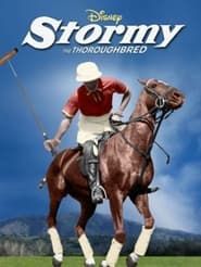 Image Stormy, the Thoroughbred 1954