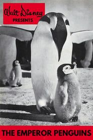 Image Emperor Penguins