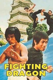 Image Fighting Dragon 1975