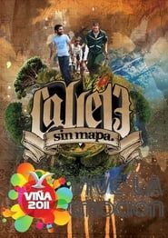 Calle 13 Festival de Viña del Mar-hd