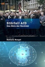 Störfall AfD – Das Netz der Rechten series tv