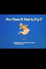 Affiche de How Does It Feel to Fly?