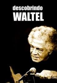 Descobrindo Waltel (2005)